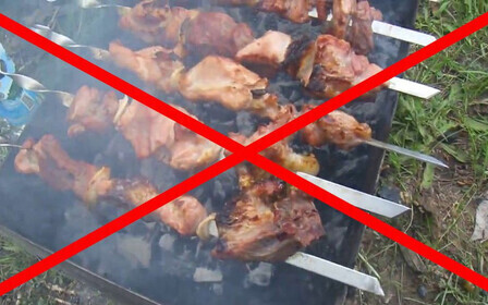 Запрет на шашлыки: где можно, а где нельзя жарить мясо?