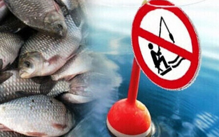 Запрет на рыбную ловлю в Ленинградской области – где и когда нельзя рыбачить?