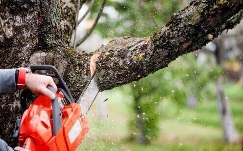 Спиливание аварийных деревьев
