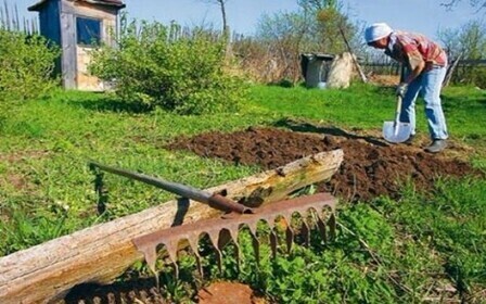 Законопроект о садоводстве огородничестве и дачном хозяйстве