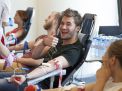 Как стать донором крови. Сколько платят в 2019 году