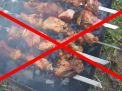 Запрет на шашлыки: где можно, а где нельзя жарить мясо?