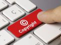 Защита авторских прав – это действия по пресечению незаконного пользования авторской собственностью. 